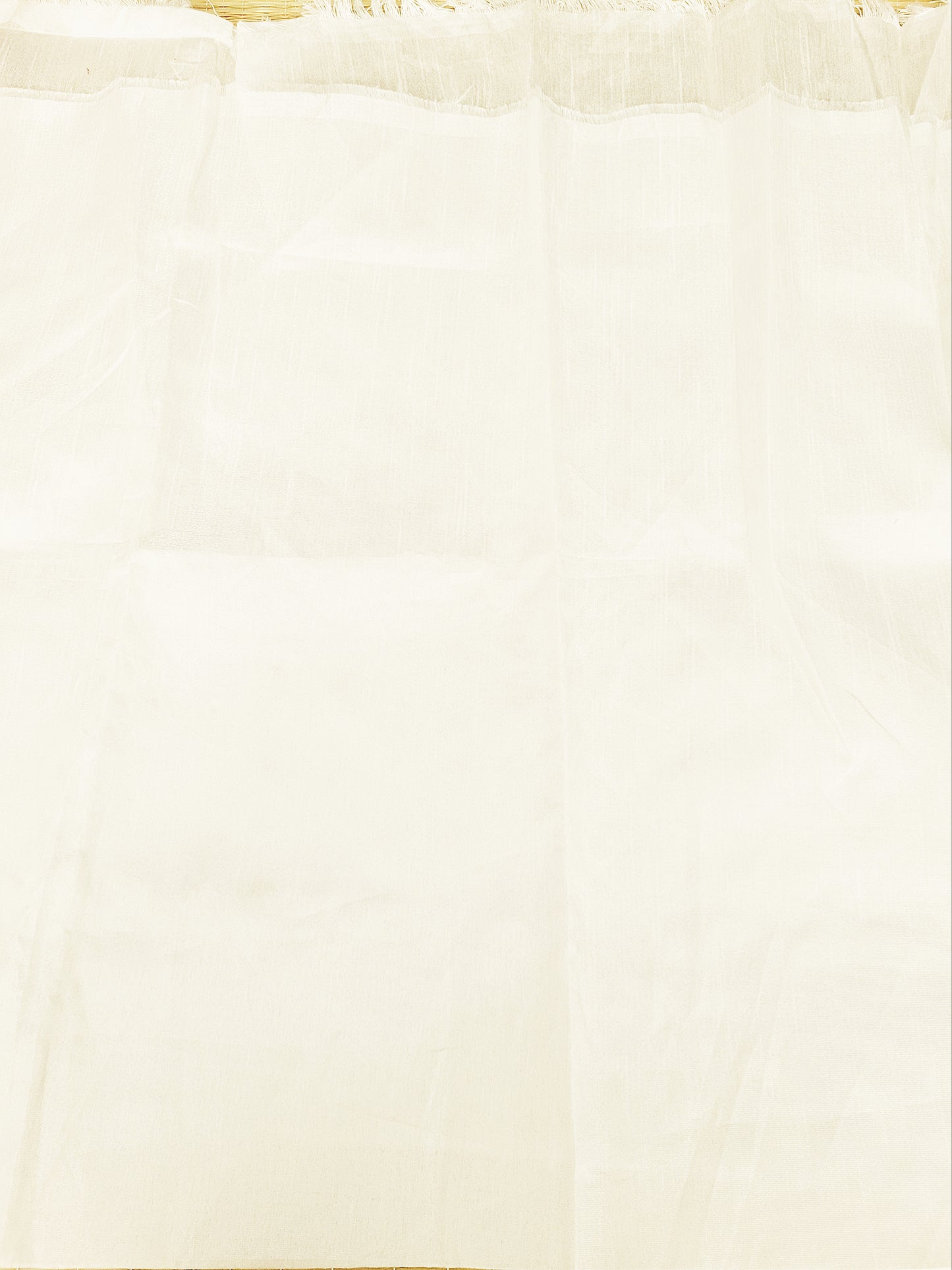 Organza Embroidered Saree