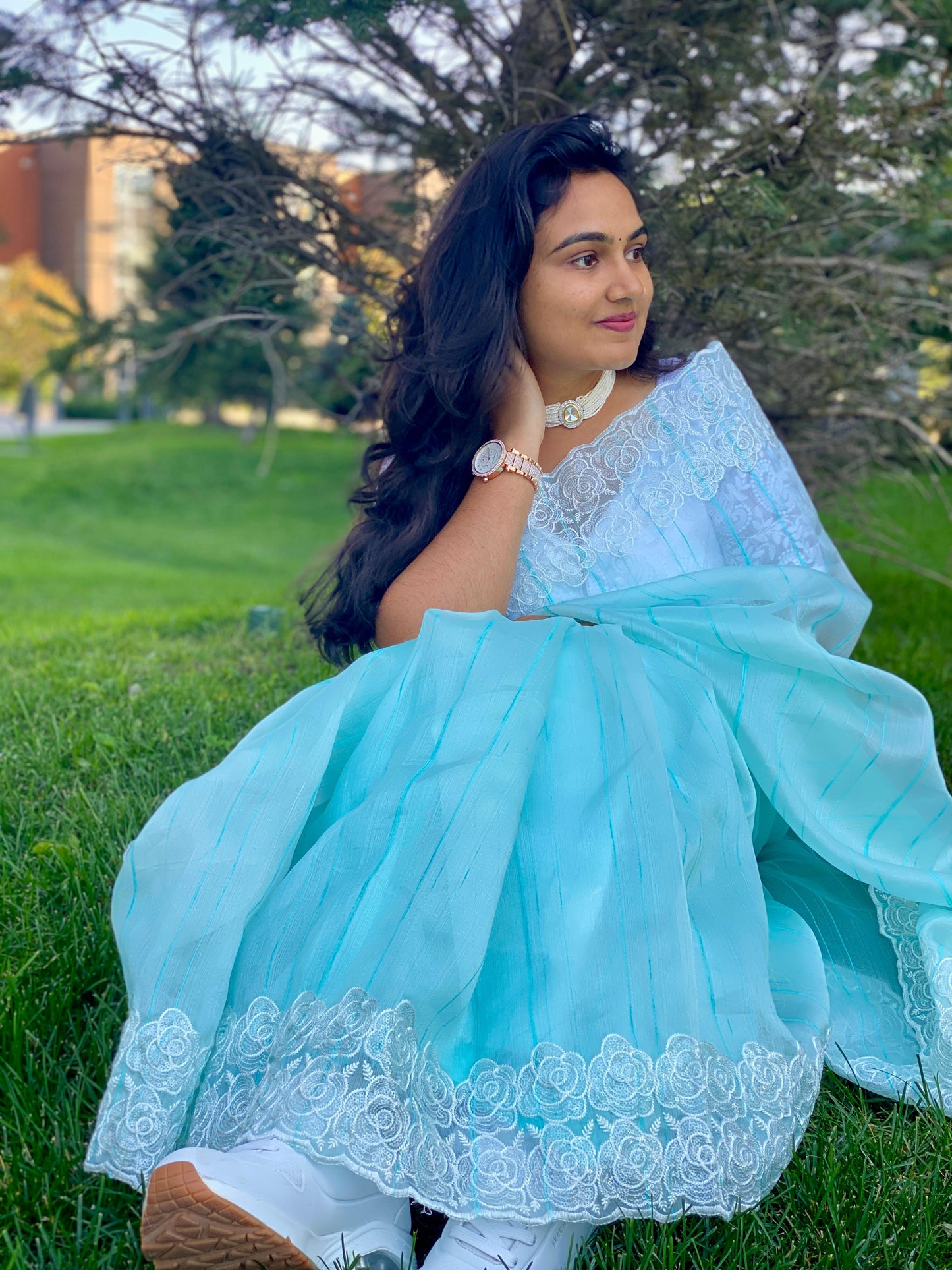 Organza Saree With Intricate Floral Embroidery