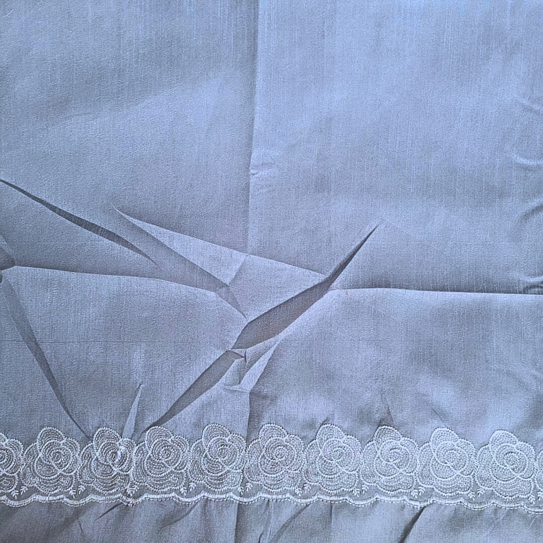 Organza Saree With Intricate Floral Embroidery