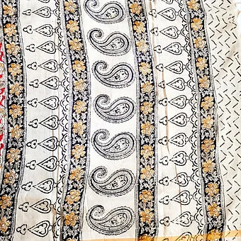 Kalamkari Block Printed Saree