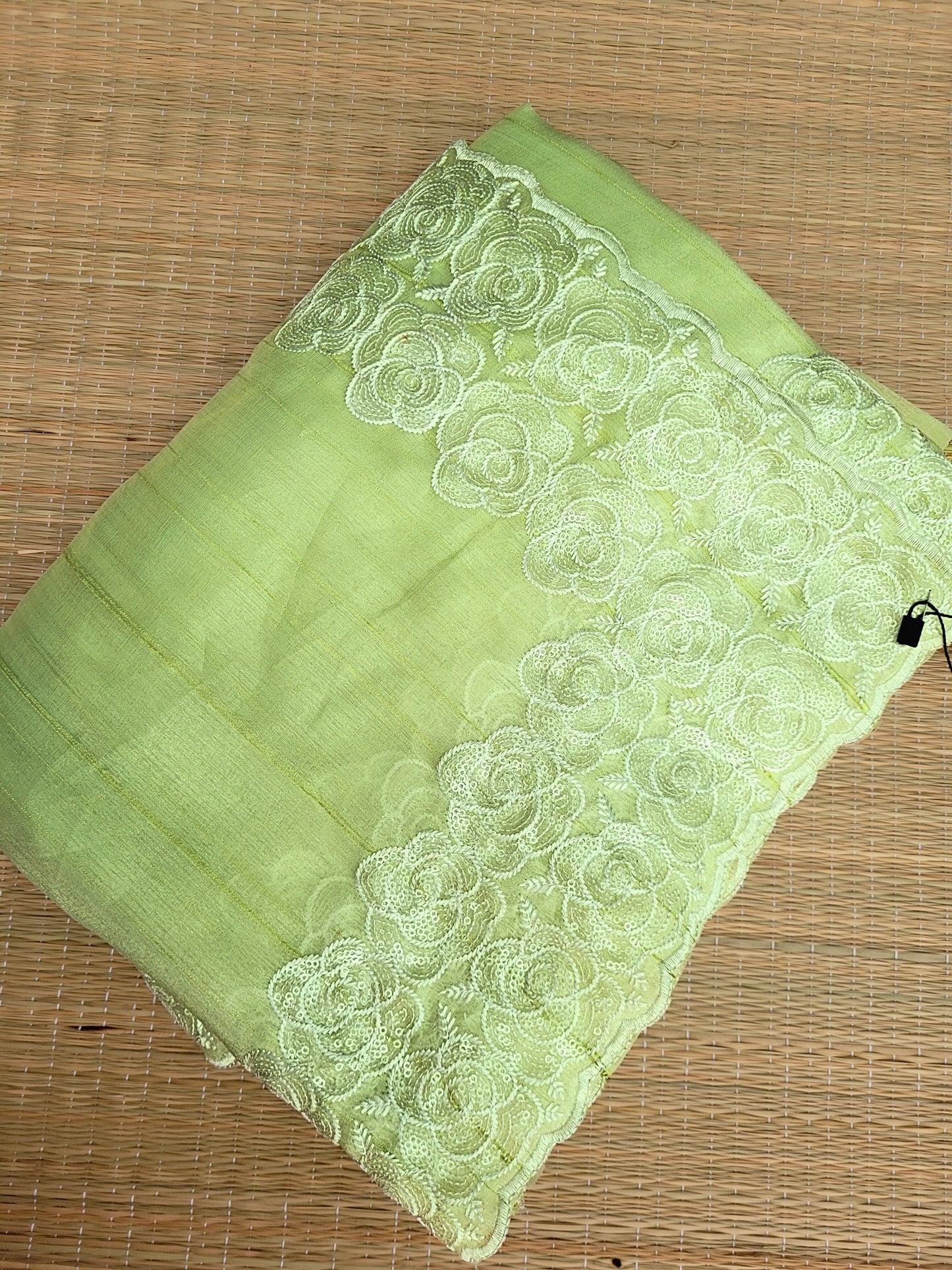 Organza Saree With Intricate Floral Embroidery
